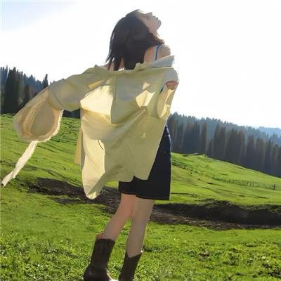 蓝甲虫